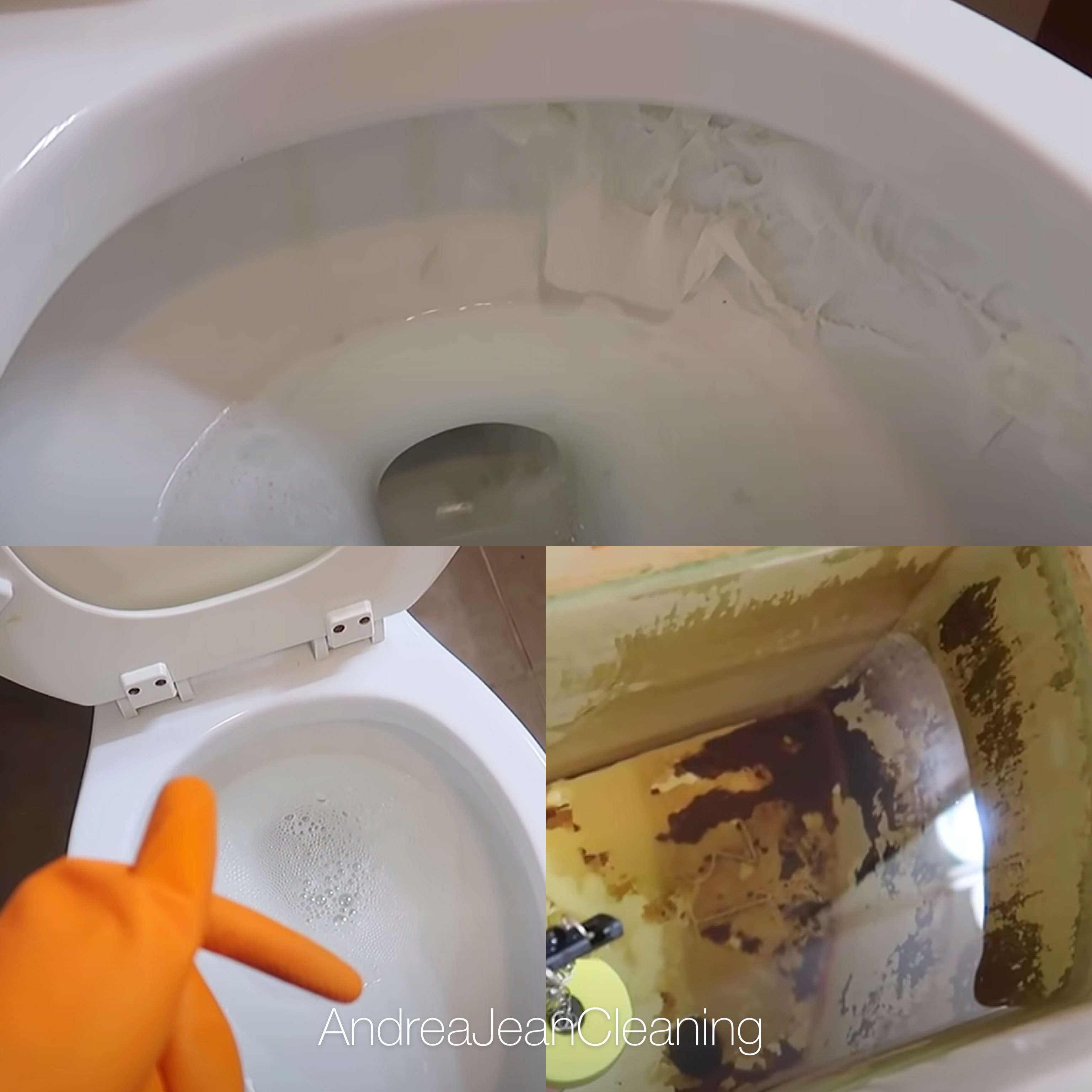 Put VINEGAR Into Your TOILET And WATCH What Happens ANDREA JEAN   Vin Tank Square 