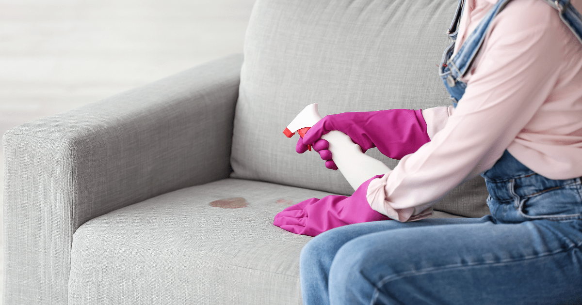 How To Clean a Fabric Couch and Sofa - ANDREA JEAN